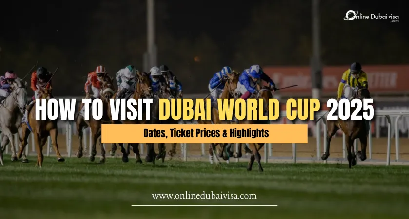 image about Dubai World Cup 2025 Date, Tickets, Visa & Highlights